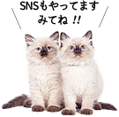 画像：SNSもやってますみてね！！